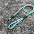 Load image into Gallery viewer, Sage Rope Lead