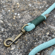 Load image into Gallery viewer, Sage Rope Lead