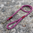 Load image into Gallery viewer, Merlot Rope Lead