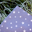 Load image into Gallery viewer, Starry Sky Bandana