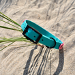 Load image into Gallery viewer, Teal & Fuschia BioThane® Collar