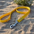 Load image into Gallery viewer, Yellow BioThane® Lead