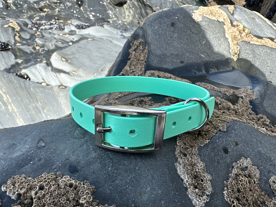 Seafoam BioThane® Collar