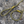 Load image into Gallery viewer, Olive Slip Lead
