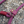 Load image into Gallery viewer, Merlot Slip Lead
