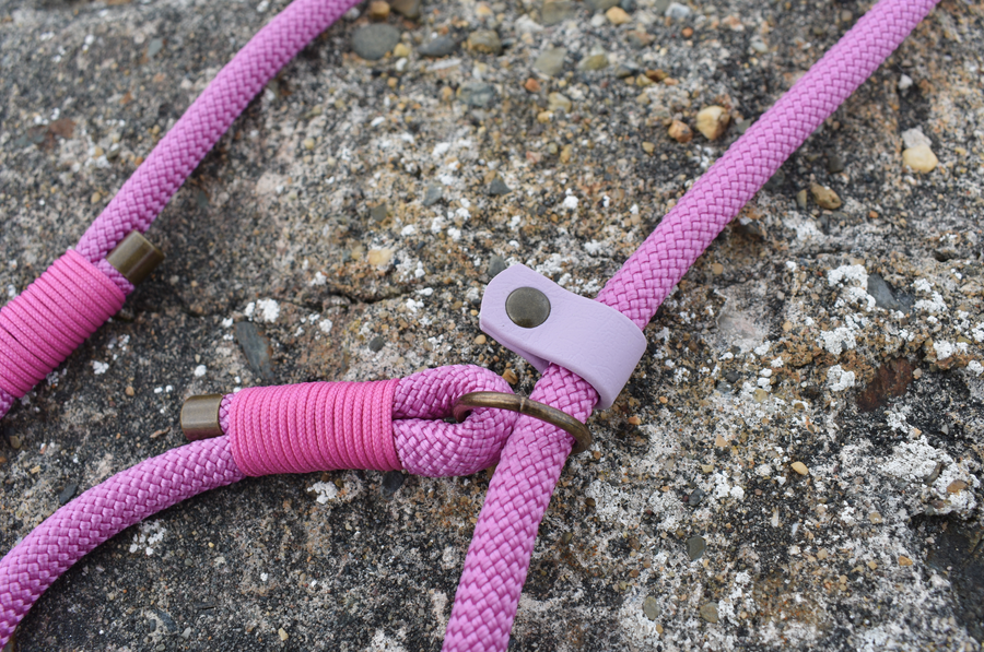 Pink Slip Lead