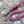Load image into Gallery viewer, Merlot Rope Lead
