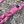 Load image into Gallery viewer, Blossom Rope Lead

