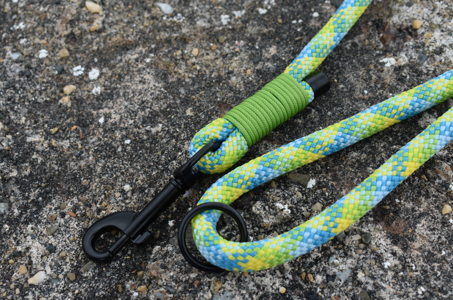 Sourz Rope Lead