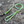 Load image into Gallery viewer, Sourz Rope Lead
