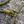 Load image into Gallery viewer, Olive Slip Lead
