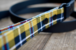 Cornish Tartan - Black Biothane® Lead