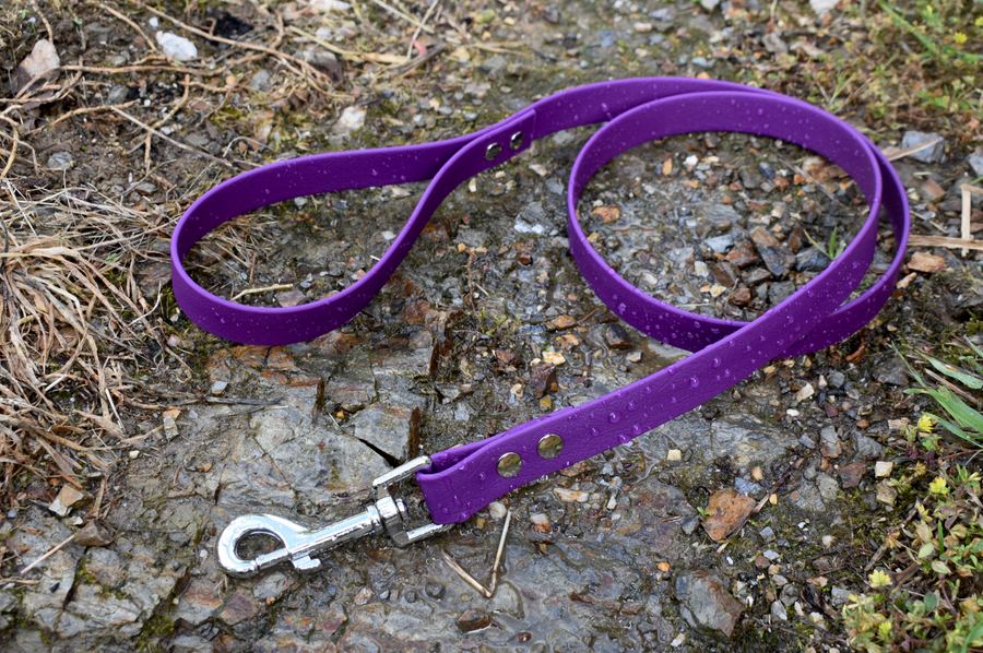 Purple - Basic Lead