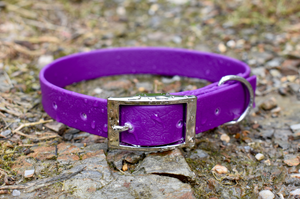 Purple - Basic Collar