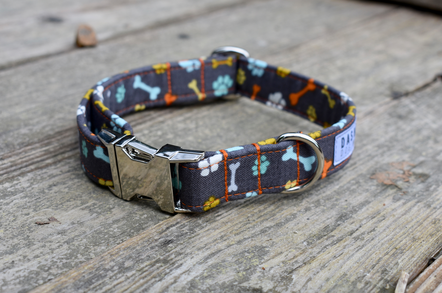 Paws and Bones Collar - Ready To Ship