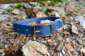 Navy Basic Collar - Ready To Ship