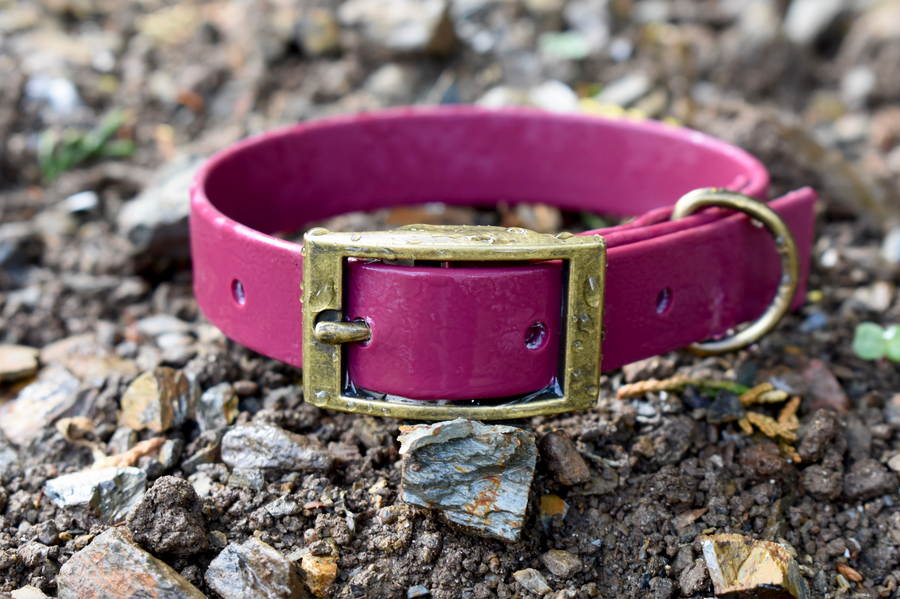 Merlot - BioThane® Collar