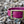 Load image into Gallery viewer, Merlot - BioThane® Collar
