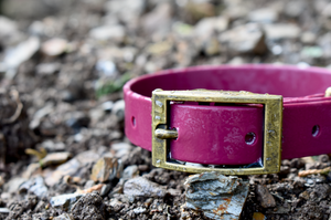 Merlot - BioThane® Collar