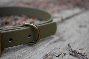 Olive BioThane® Collar