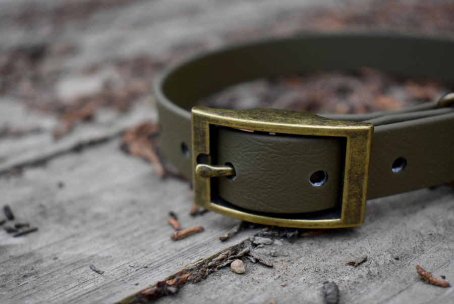 Olive BioThane® Collar