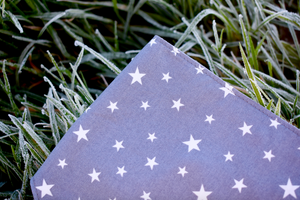 Starry Sky Bandana