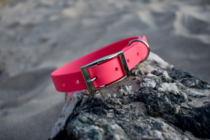 Fuschia BioThane® Collar