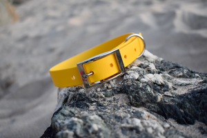 Yellow BioThane® Collar