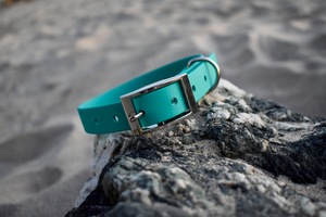 Teal BioThane® Collar