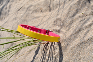 Fuschia & Yellow BioThane® Collar