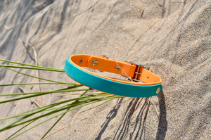 Peach & Teal BioThane® Collar