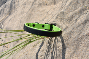 Green & Black BioThane® Collar