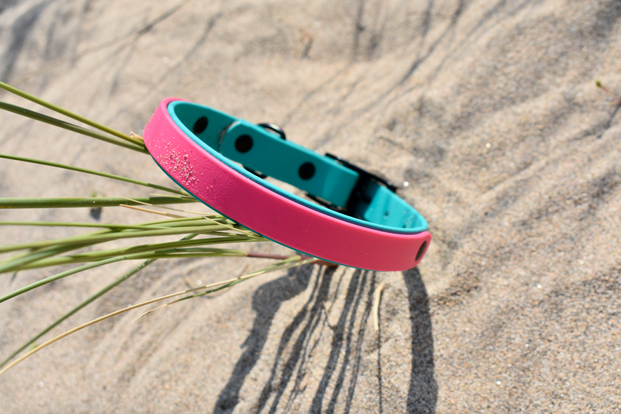 Teal & Fuschia BioThane® Collar